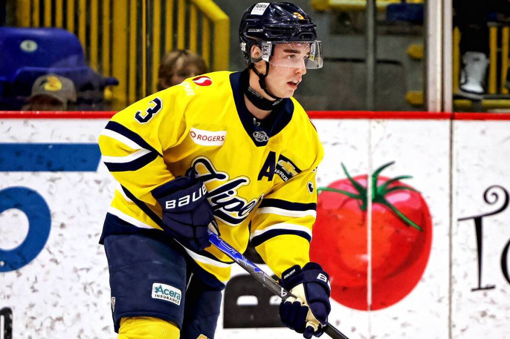 Vernon Vipers defenceman Edvin Nilsson has been added to the Team World roster that will play Team Canada in the BC Hockey League&rsquo;s Canada vs World game during All-Star Weekend Jan. 16 and 17 in Spruce Grove, Alta. Nilsson will also play for Team Interior in the College Prospects game. (Lisa Mazurek - Vernon Vipers Photography)